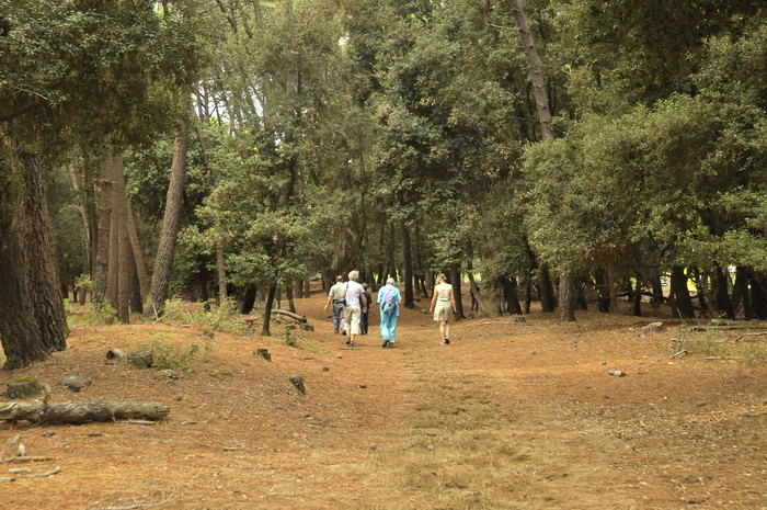 Tenuta di San Rossore - Riserva del Paduletto